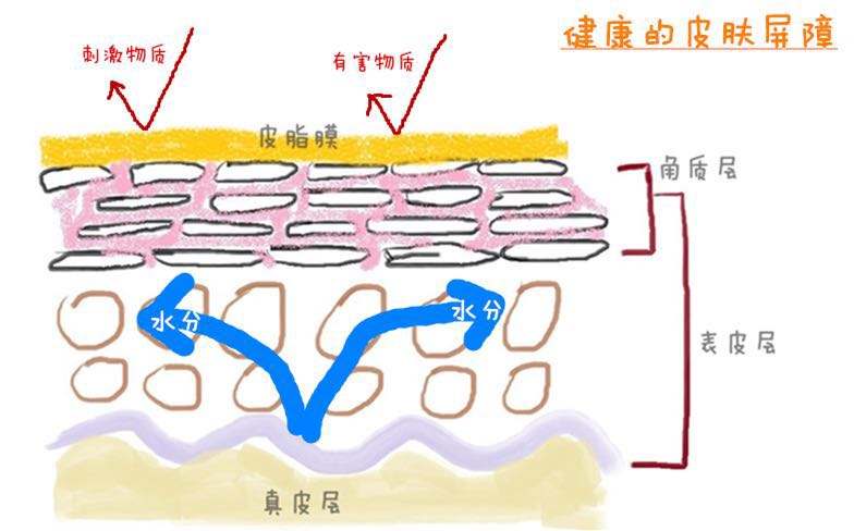 軍事迷的護膚解讀：我將合理清潔、保濕、防曬